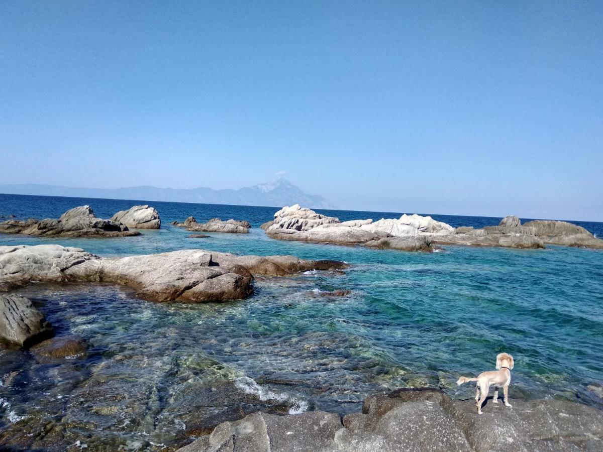 Papapoulios Apartment Sykia Dış mekan fotoğraf