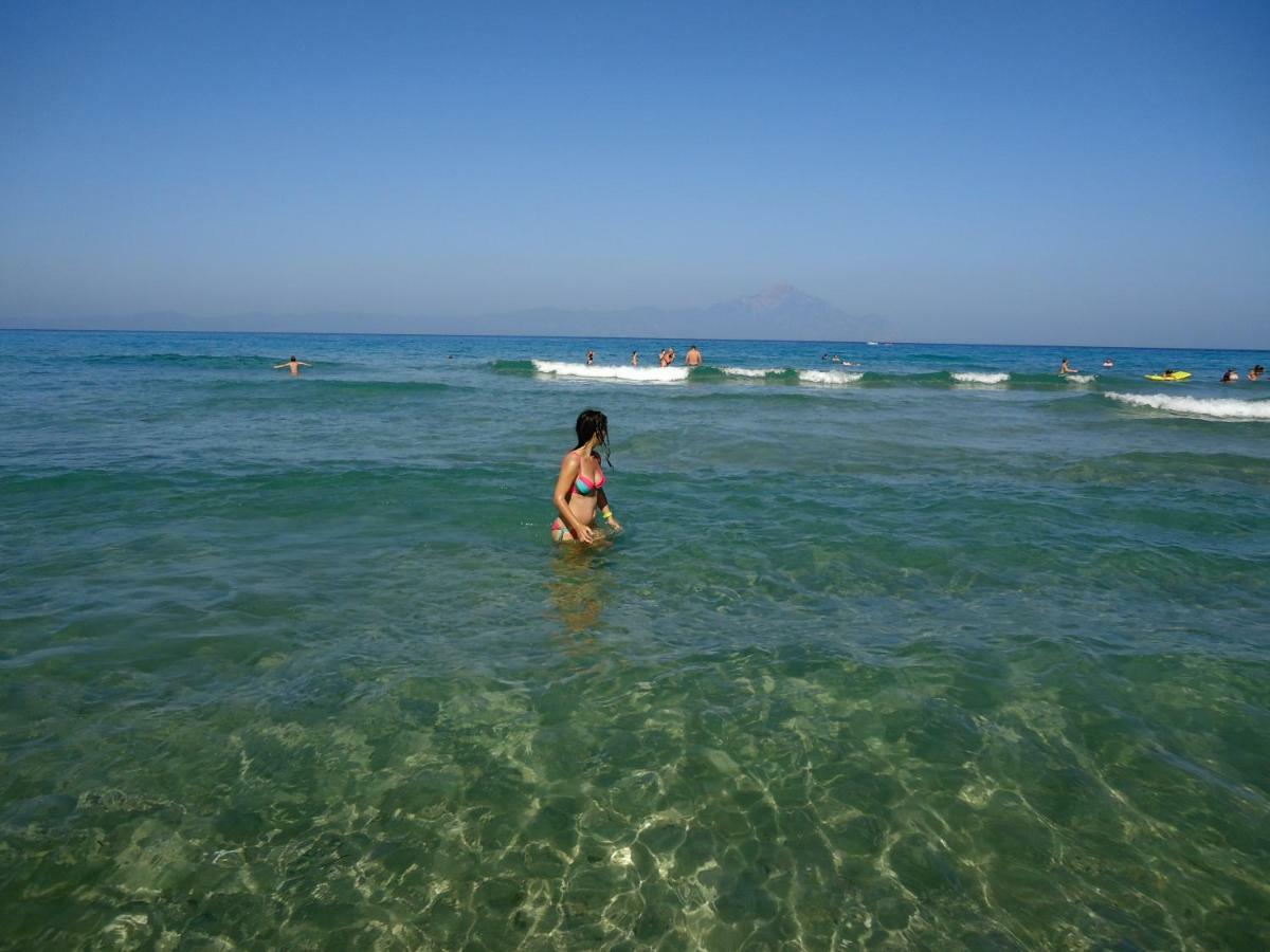 Papapoulios Apartment Sykia Dış mekan fotoğraf