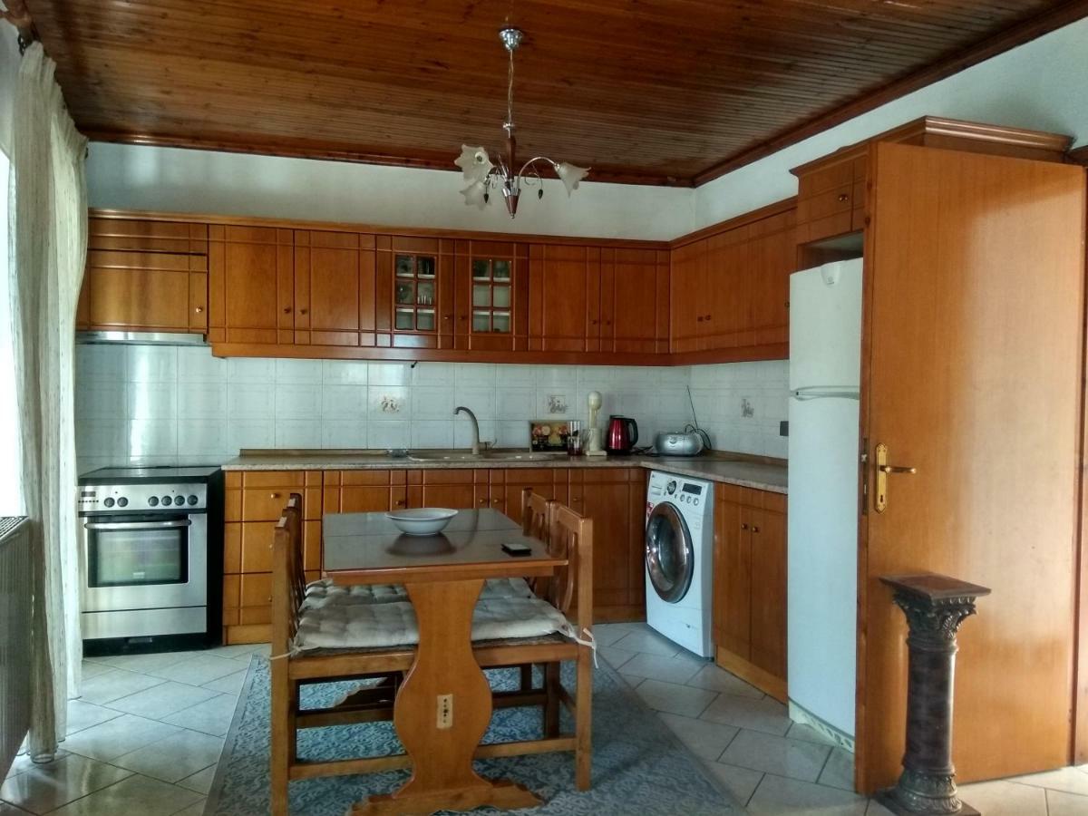 Papapoulios Apartment Sykia Dış mekan fotoğraf
